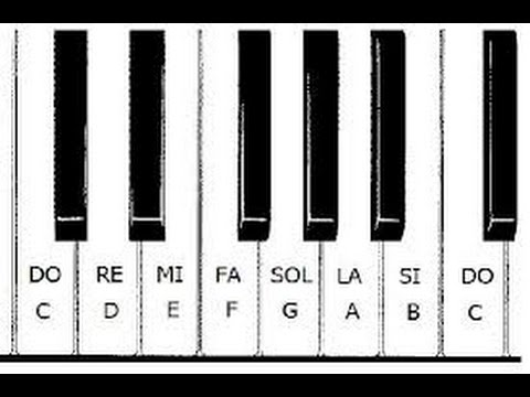 Dominando el Teclado Musical: Cómo Aprender las Notas de un Teclado Fácilmente