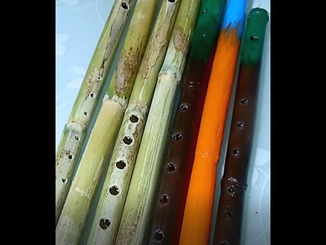 Cómo hacer una flauta de bambú: Tutorial fácil y práctico