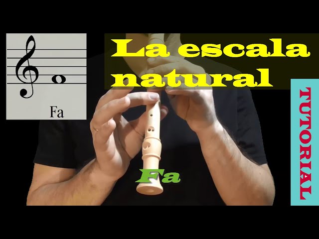 Aprendiendo cómo tocar la flauta dulce: Tips esenciales para principiantes